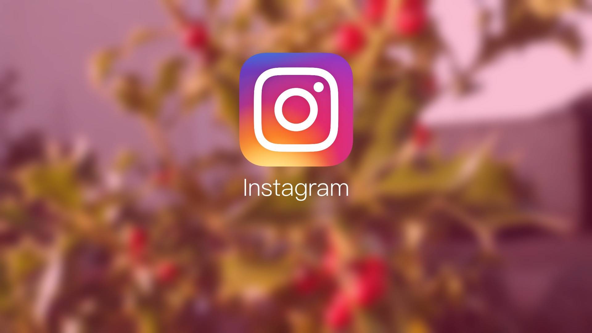 指纹浏览器可以用作Instagram的多帐户管理工具吗？